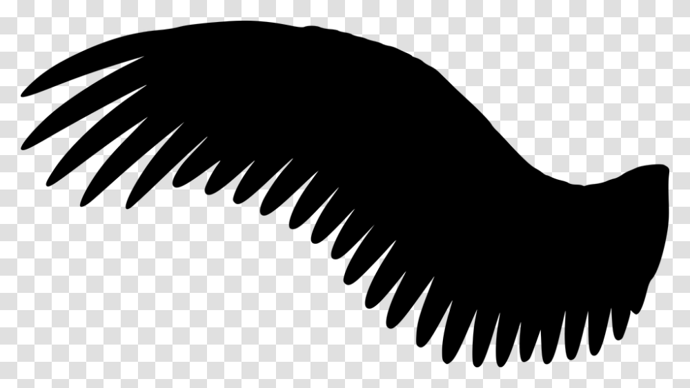 Black Angel Wings Side View, Gray, World Of Warcraft Transparent Png