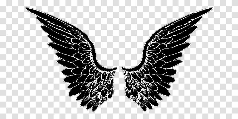 Black Angel Wings, Emblem, Bird Transparent Png