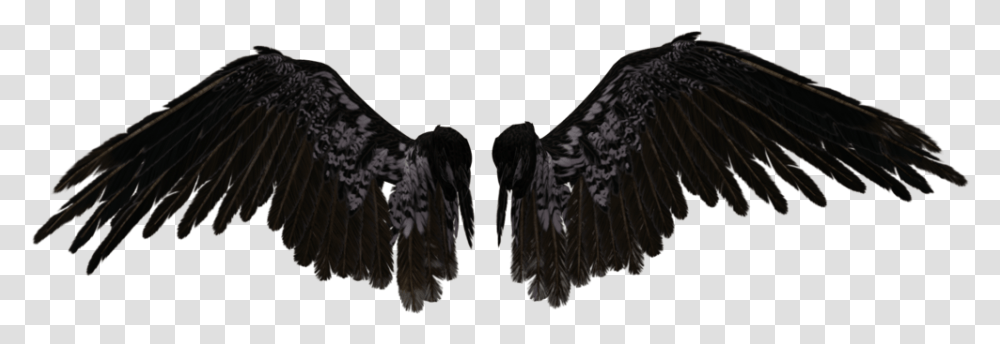 Black Angel Wings, Vulture, Bird, Animal, Eagle Transparent Png