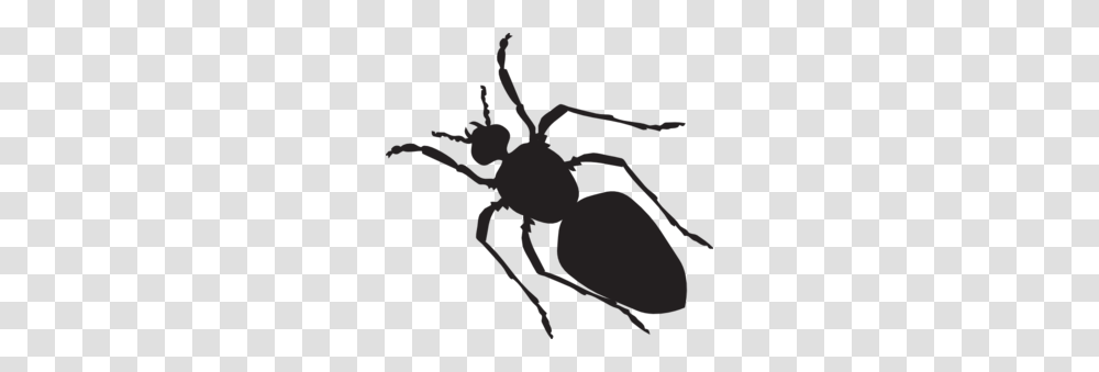 Black Ant Silhouette Clip Art For Web, Animal, Invertebrate, Insect, Scorpion Transparent Png