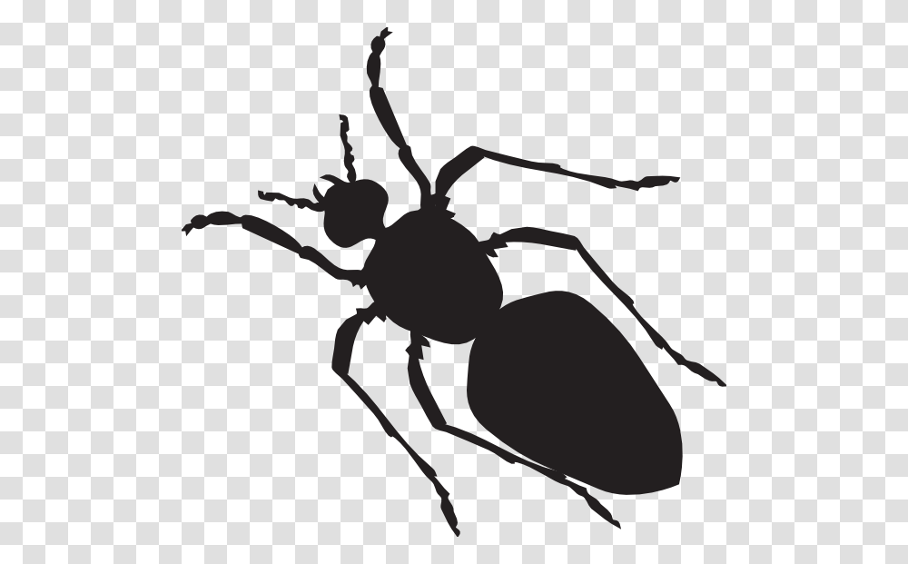 Black Ant Silhouette Clip Art, Insect, Invertebrate, Animal, Spider Transparent Png
