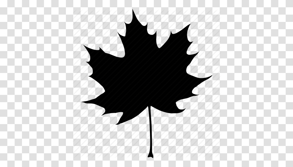 Black Autumn Canada Canadian Fall Leaf Maple Tree Icon, Plant, Star Symbol, Piano Transparent Png