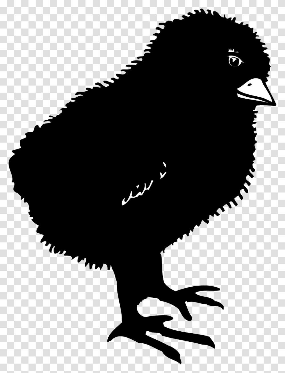 Black Baby Chicken Clipart, Outdoors, Silhouette, Nature Transparent Png