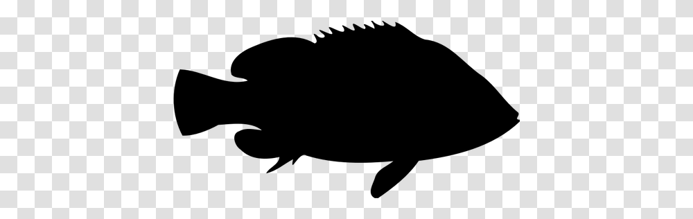 Black Banded Sea Perch, Gray, World Of Warcraft Transparent Png