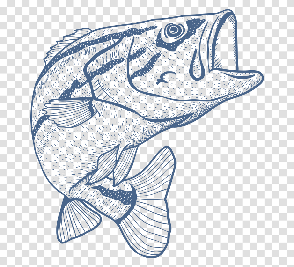 Black Bass Fishing Rod Fish On A Line Sketch, Animal, Aquatic, Water, Trout Transparent Png