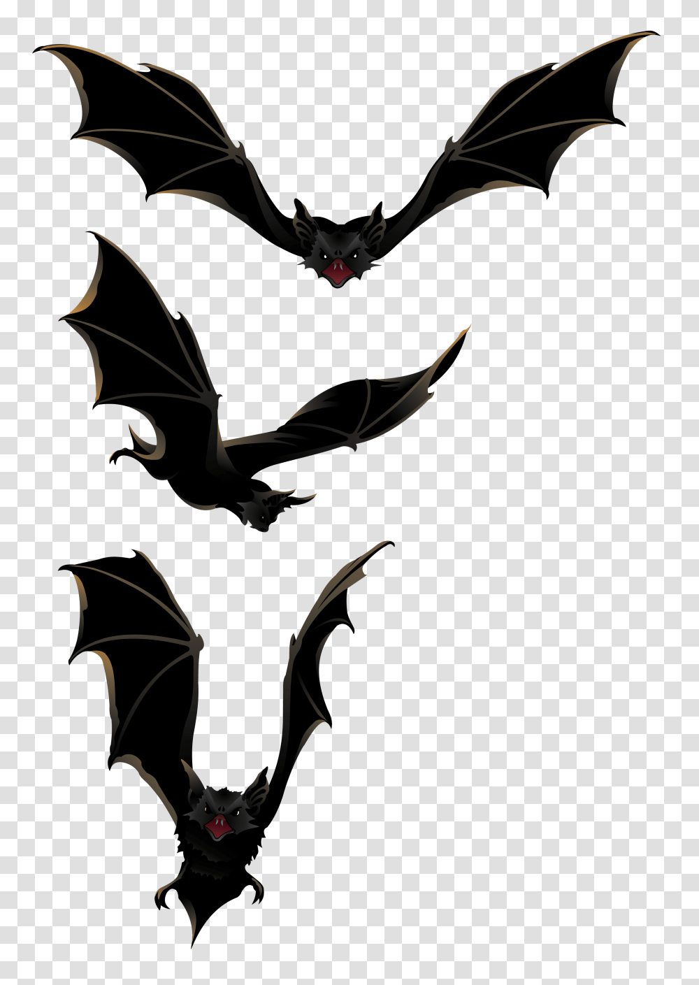 Black Bat Cliparts, Animal, Mammal, Cat, Pet Transparent Png