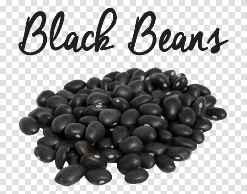 Black Beans Black Beans In Urdu, Plant, Vegetable, Food, Soy Transparent Png