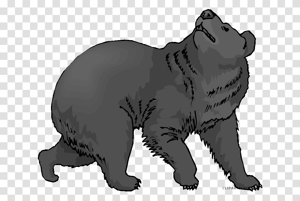 Black Bear Clipart, Animal, Mammal, Wildlife, Rodent Transparent Png