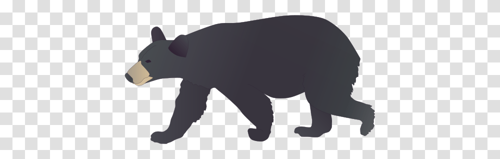 Black Bear Clipart, Mammal, Animal, Wildlife, Aardvark Transparent Png