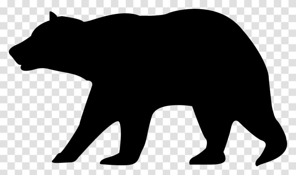 Black Bear Clipart Real, Gray, World Of Warcraft Transparent Png