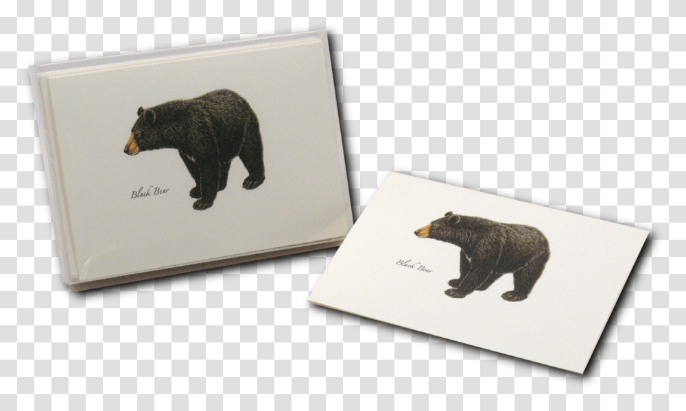 Black Bear Grizzly Bear, Wildlife, Mammal, Animal, Brown Bear Transparent Png