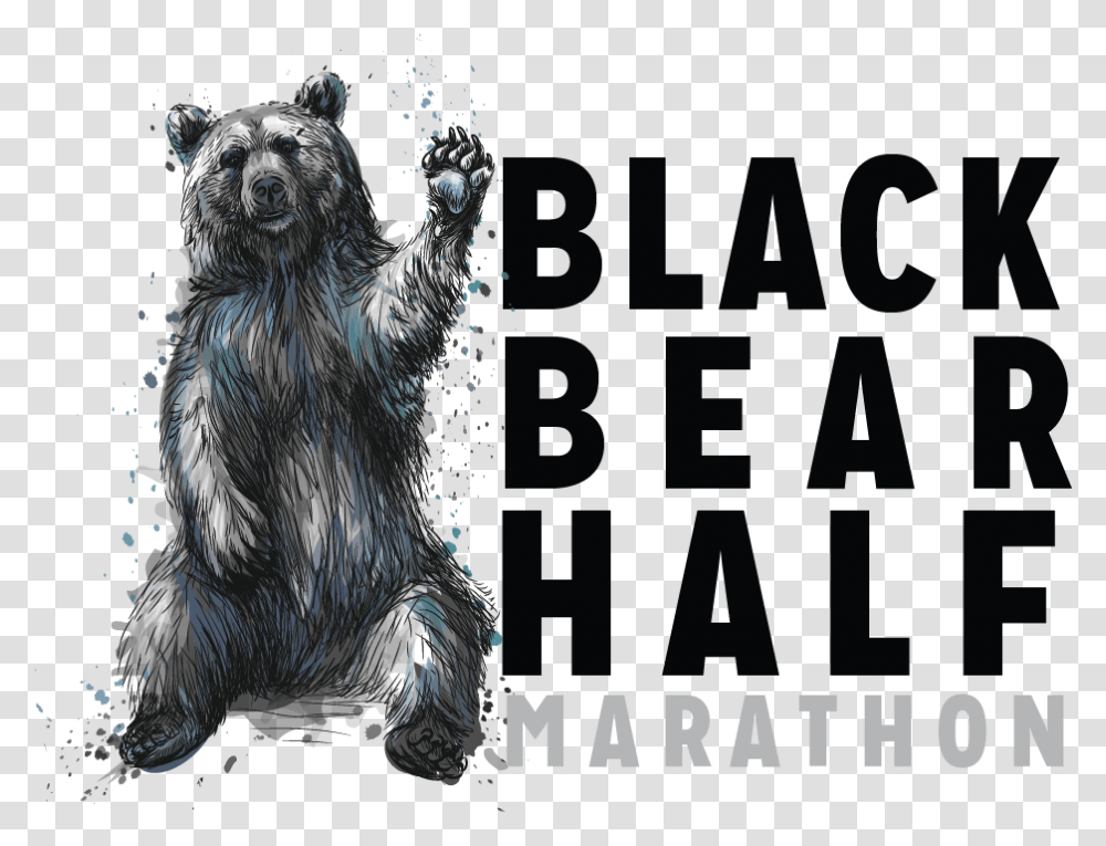 Black Bear Half Marathon Fiction, Wildlife, Animal, Mammal, Bird Transparent Png