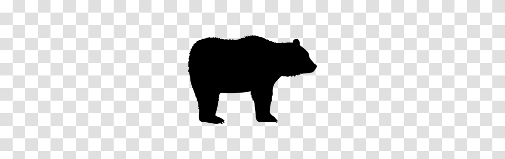 Black Bear Icon, Gray, World Of Warcraft Transparent Png