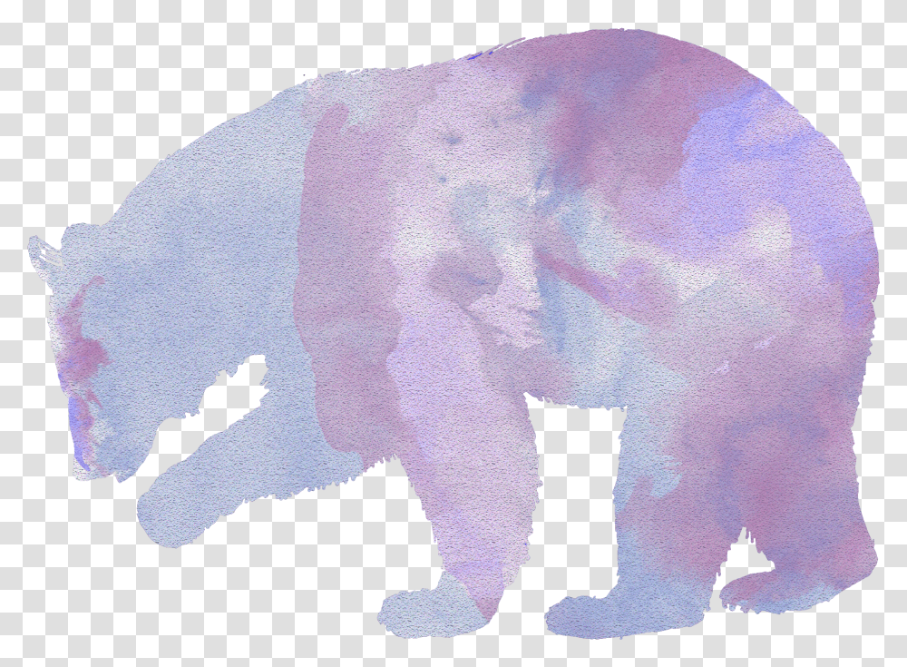 Black Bear Silhouette Transparent Png