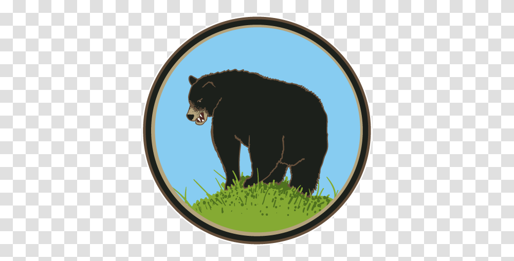 Black Bears Butt Old Rock Coffee, Wildlife, Animal, Mammal, Dog Transparent Png