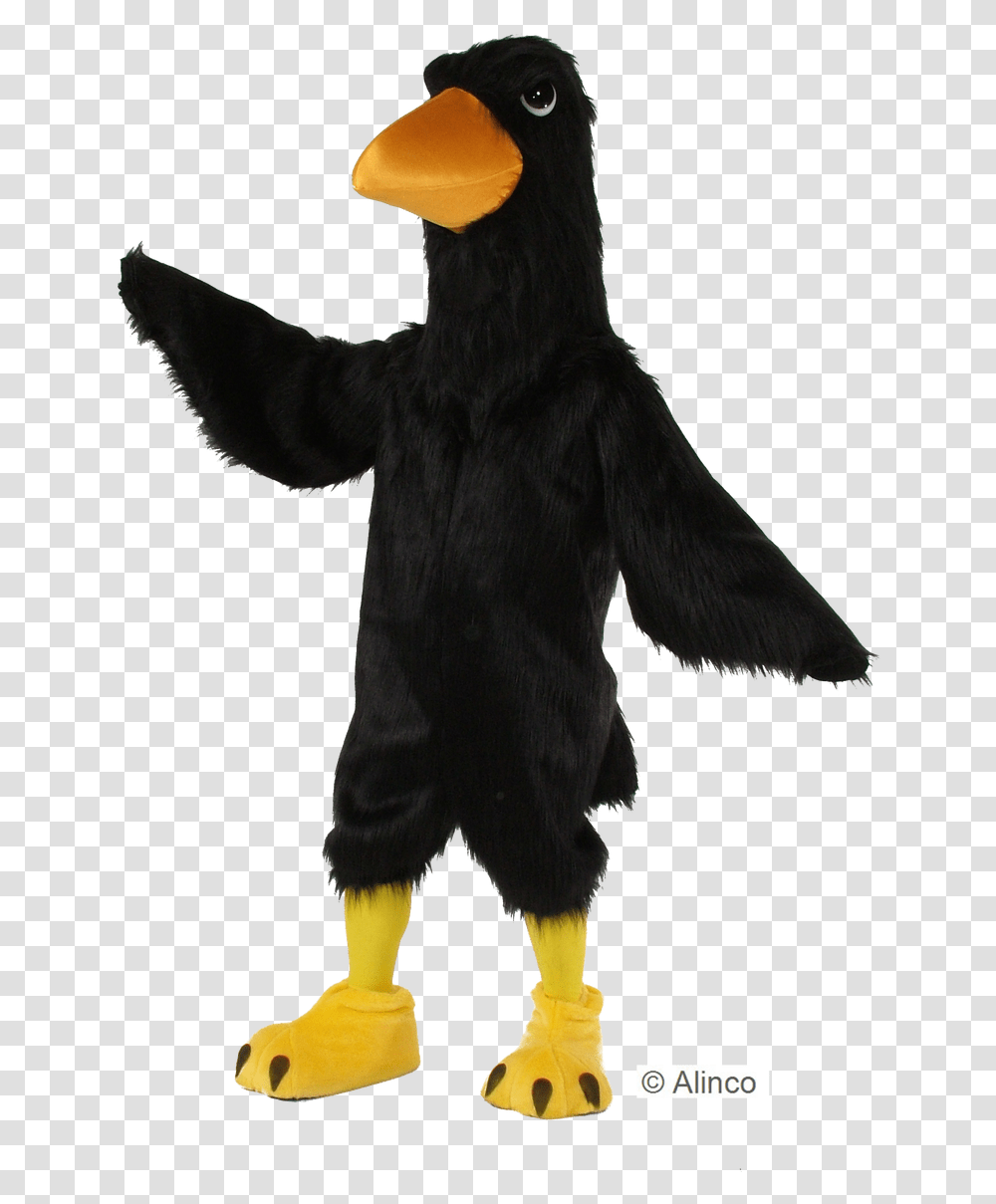 Black Big Bird, Animal, Mammal, Silhouette, Mascot Transparent Png