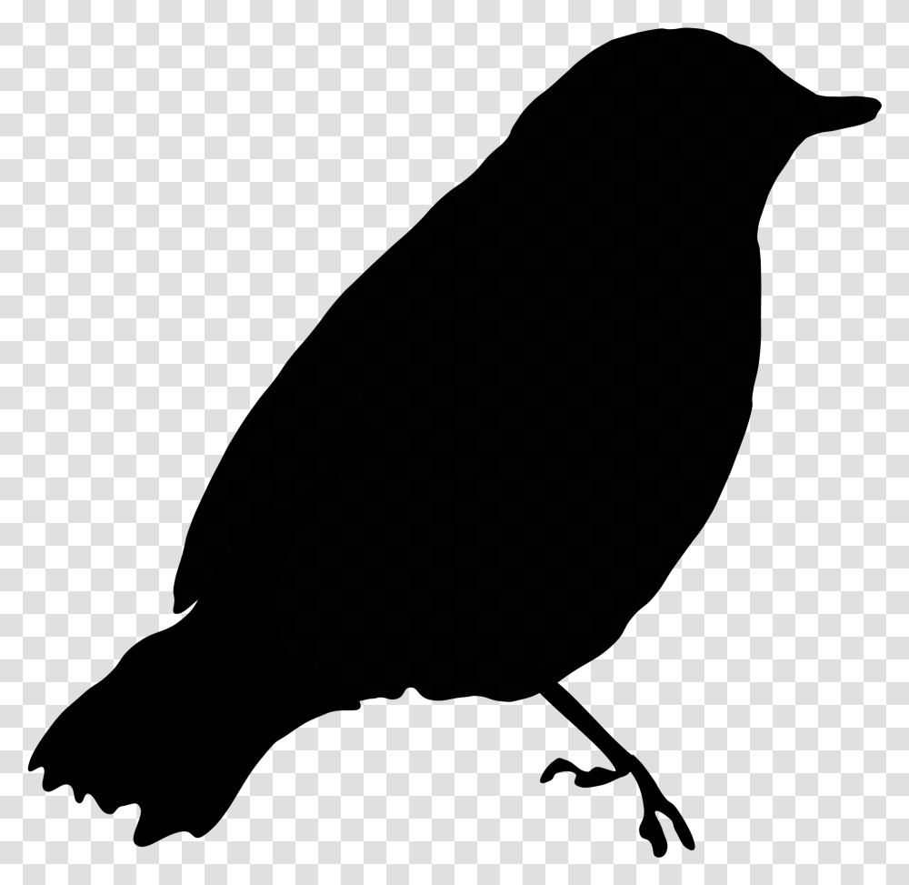 Black Bird Black Bird Clipart, Gray, World Of Warcraft Transparent Png