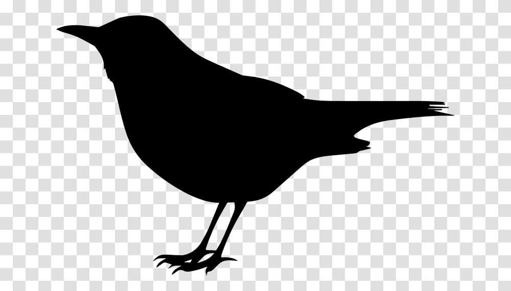 Black Bird Clip Art, Gray, World Of Warcraft Transparent Png