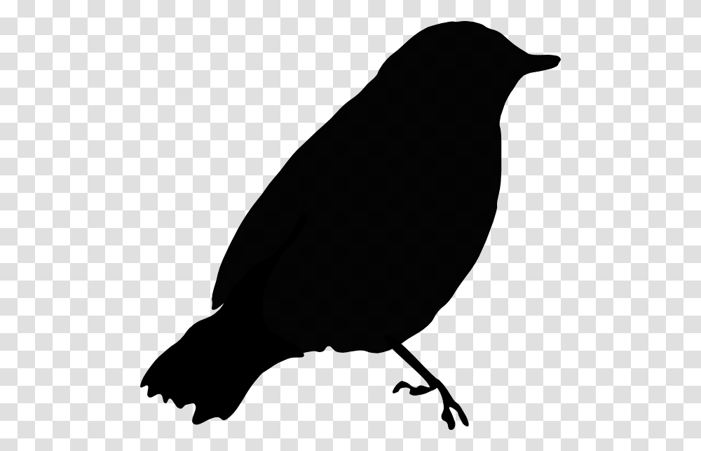 Black Bird Clip Art, Silhouette, Animal, Blackbird, Agelaius Transparent Png