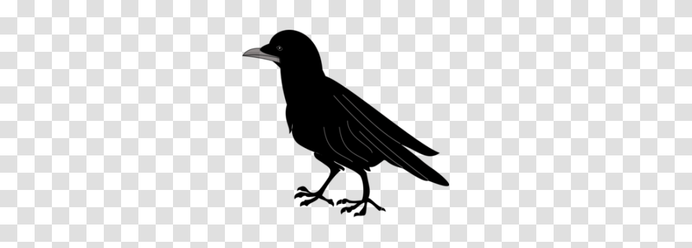Black Bird Silhouette Clip Art Free Vector Cover Me, Outdoors, Nature, Astronomy Transparent Png