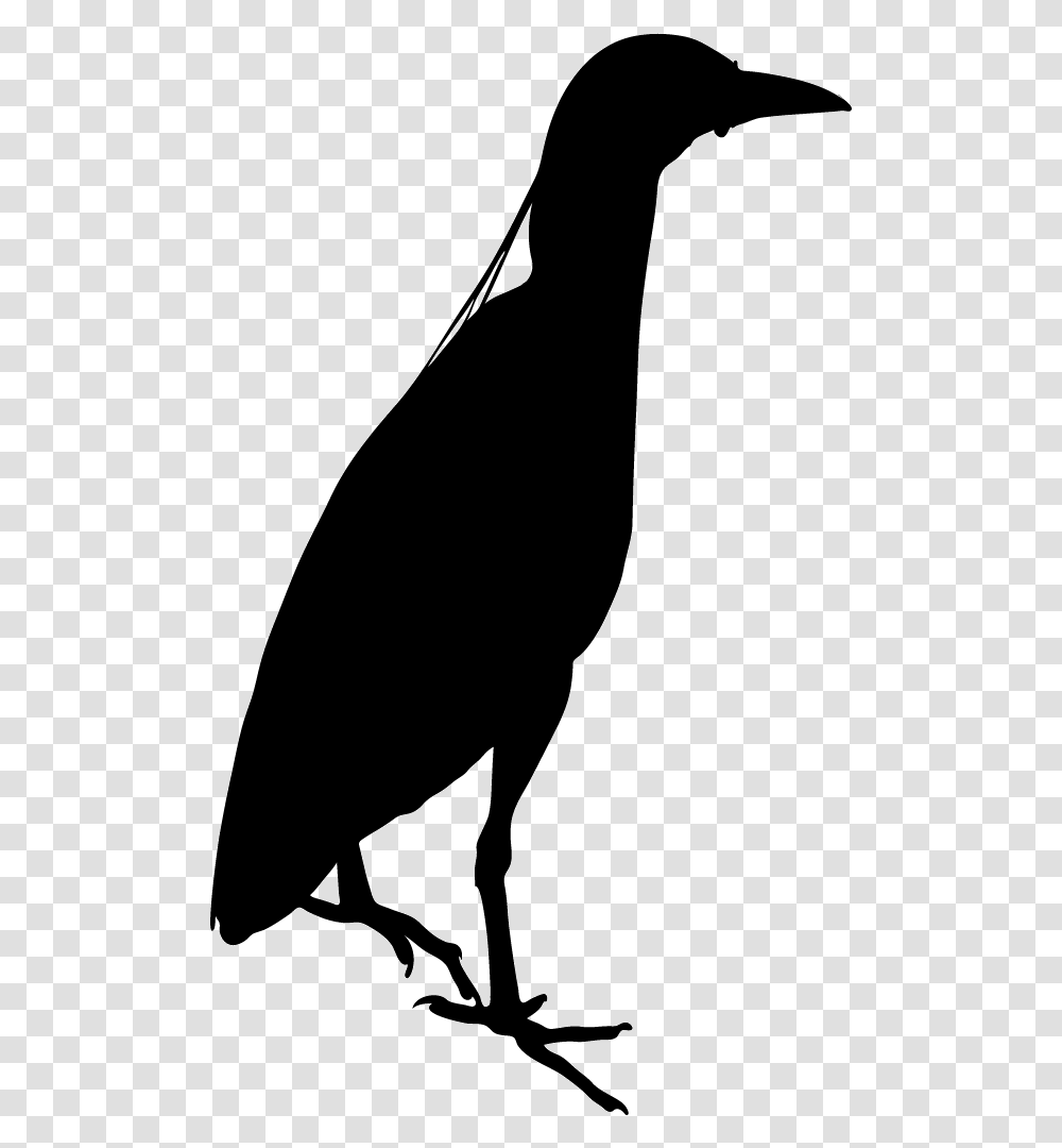 Black Birds In Night, Silhouette, Animal, Insect, Invertebrate Transparent Png