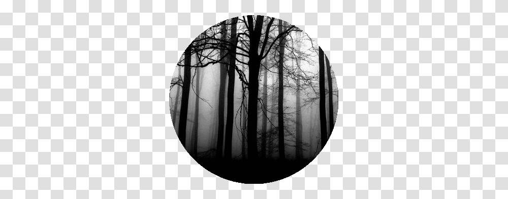 Black Blackampwhite Blackicon Circle Blackcircle Dark Forest, Nature, Outdoors, Fog, Silhouette Transparent Png