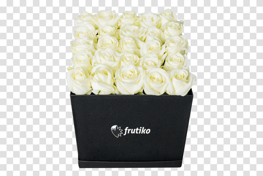 Black Box Of White Roses Garden Roses, Plant, Flower, Blossom, Flower Bouquet Transparent Png