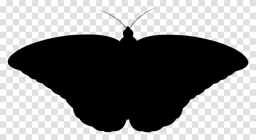 Black Butterfly Gif, Gray, World Of Warcraft Transparent Png
