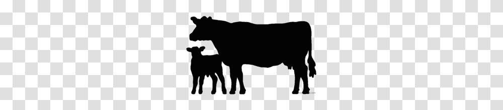 Black Calf Clipart, Silhouette, Bull, Mammal, Animal Transparent Png