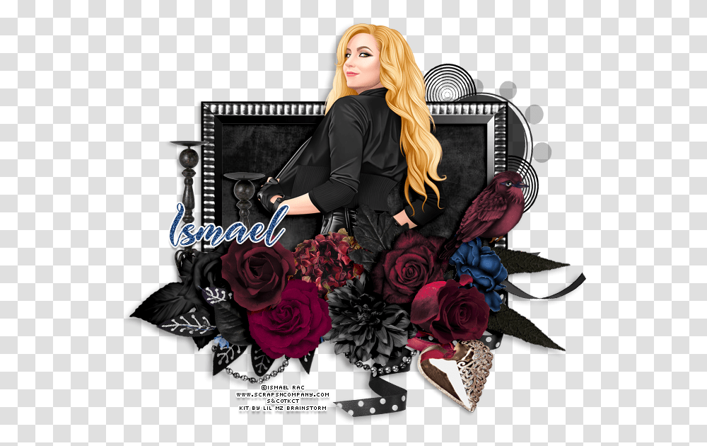 Black Canary Garden Roses, Person, Bird, Plant, Performer Transparent Png