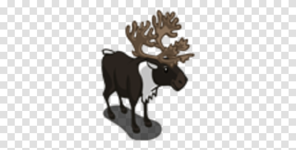 Black Caribou Reindeer, Mammal, Animal, Wildlife, Moose Transparent Png