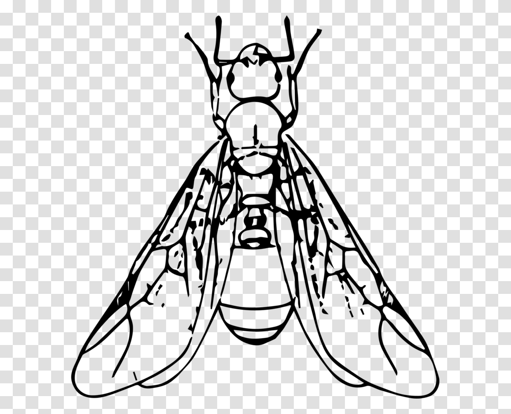 Black Carpenter Ant Beetle Termite Drawing, Gray, World Of Warcraft Transparent Png