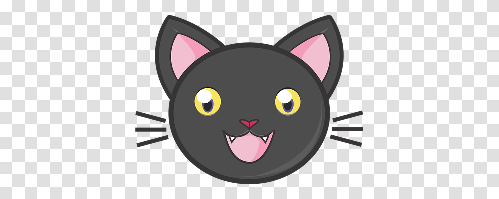 Black Cat Emotion, Disk, Pet, Animal Transparent Png