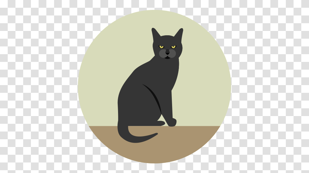 Black Cat Angry Halloween Icon Cat Icon, Pet, Mammal, Animal Transparent Png