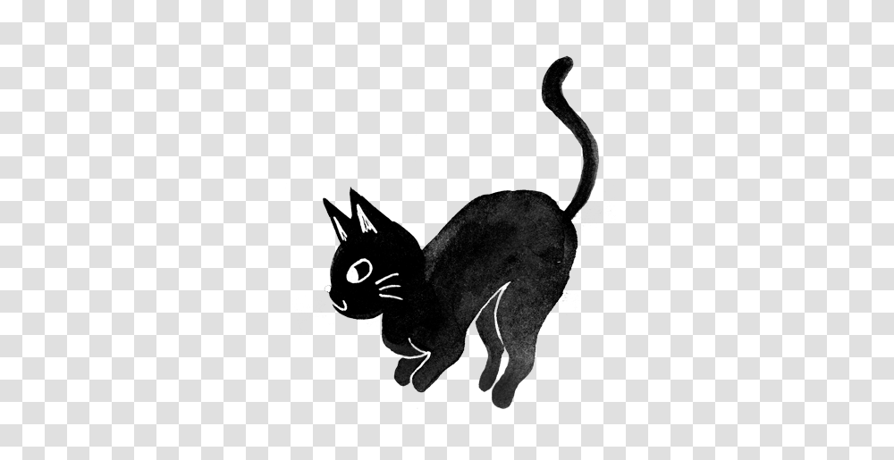 Black Cat, Animal, Silhouette, Waterfowl, Bird Transparent Png