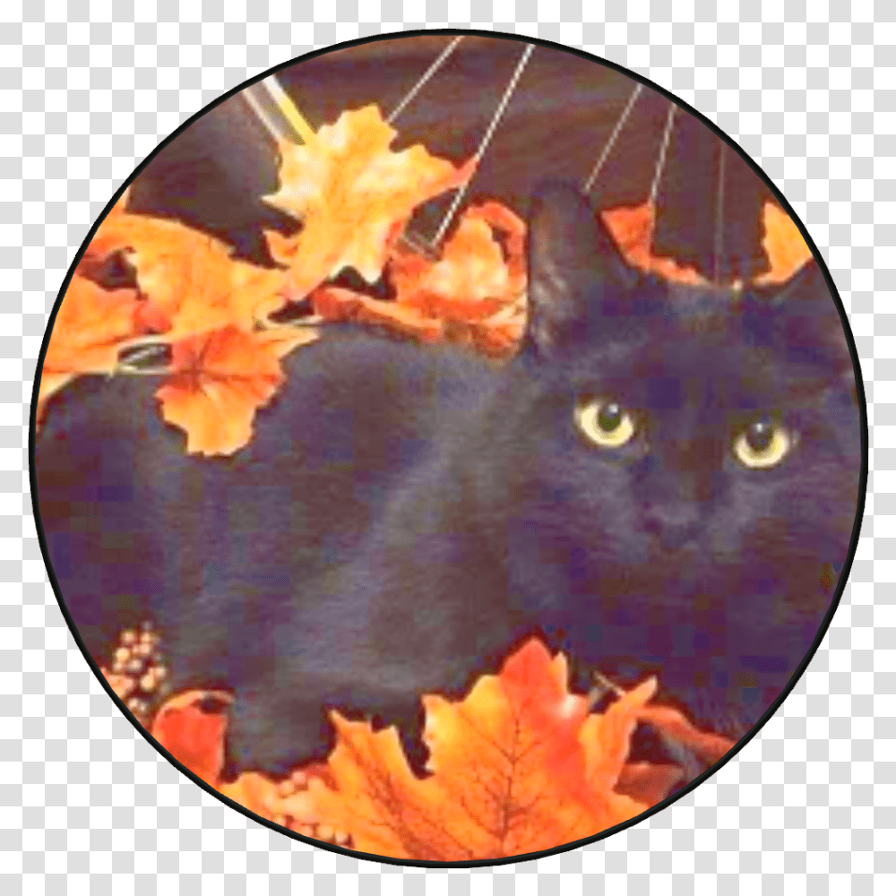 Black Cat Autumn Download Halloween Black Cat Aesthetic, Bonfire, Flame, Pet, Mammal Transparent Png