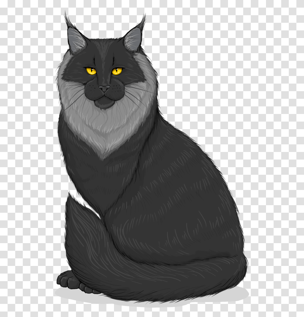 Black Cat, Bird, Animal, Pet, Mammal Transparent Png