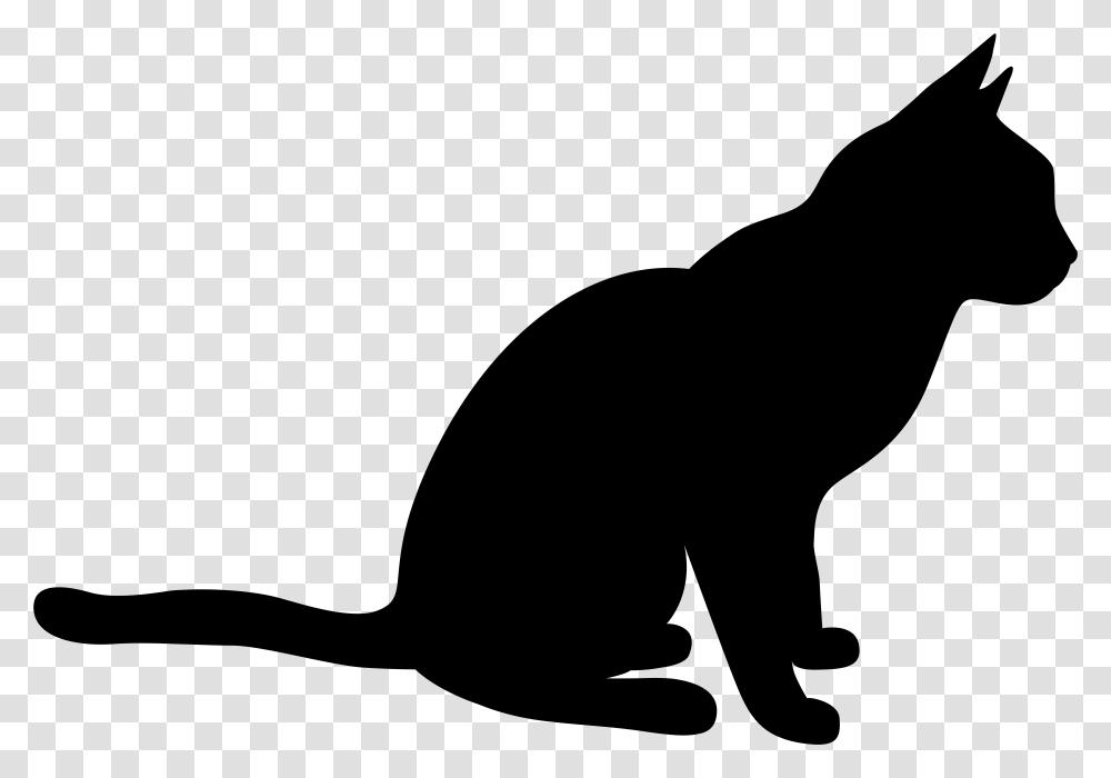 Black Cat Black And Animal Shadow Clipart Of Epinions Black Cat Clipart, Outdoors, Nature, Night, Astronomy Transparent Png