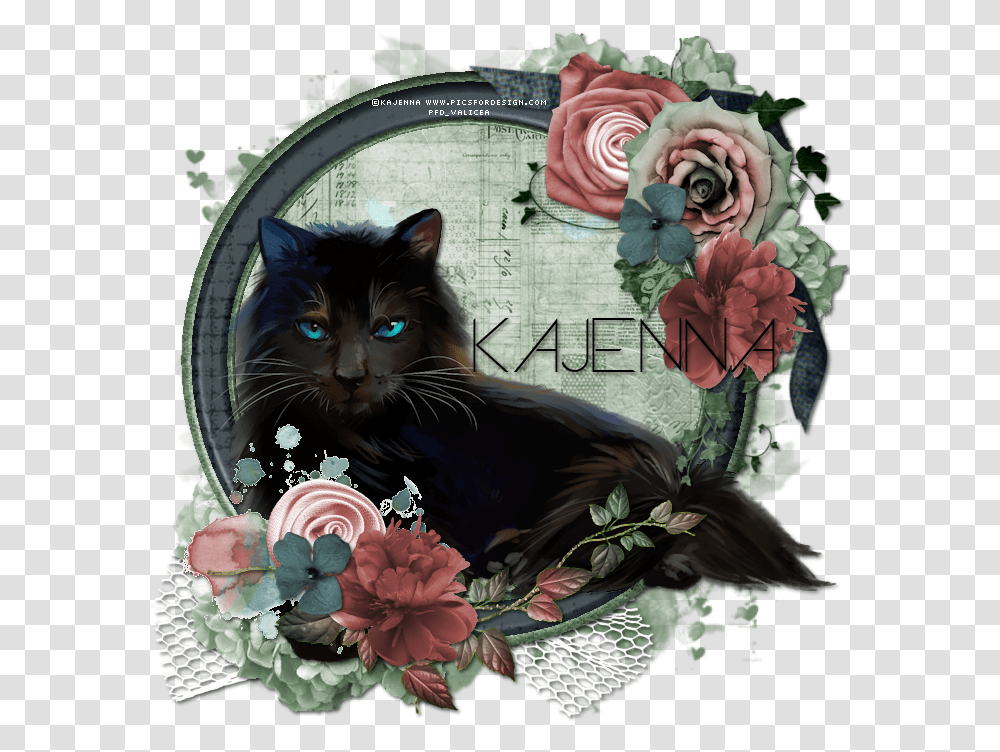 Black Cat Black Cat, Collage, Poster, Advertisement, Pet Transparent Png