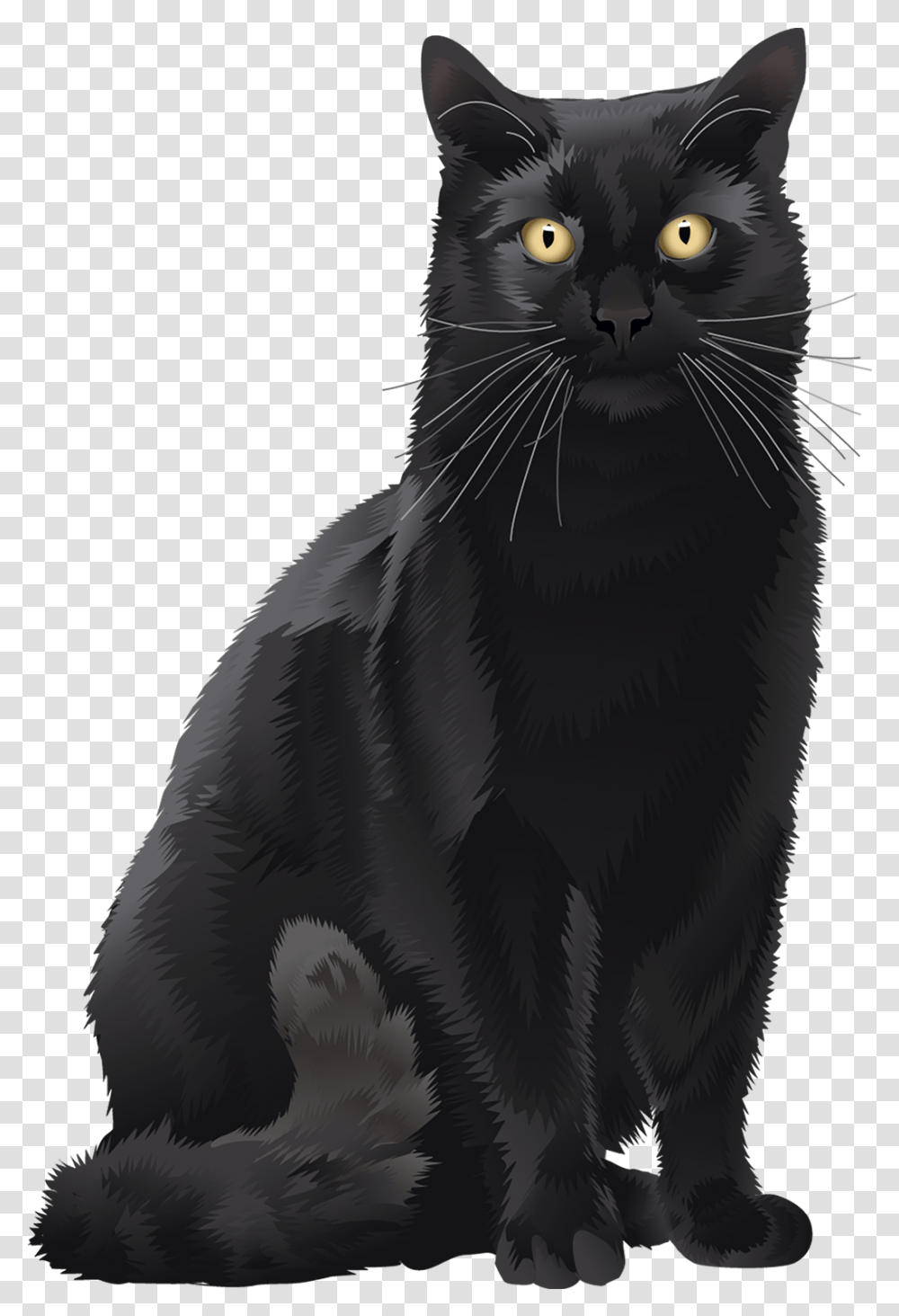 Black Cat Car Magnet Spoiled Rotten Animal Den Black Cat, Pet, Mammal, Bird,  Transparent Png