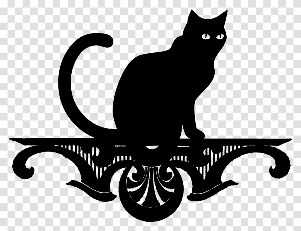 Black Cat Cat, Gray, World Of Warcraft Transparent Png