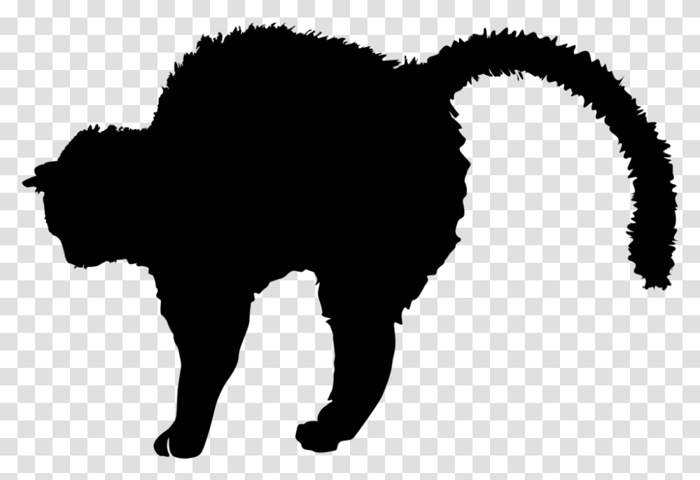 Black Cat Clip Art, Gray, World Of Warcraft Transparent Png