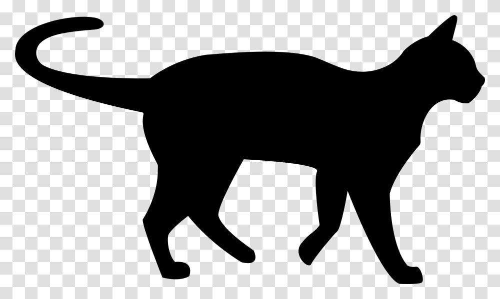 Black Cat Clipart Background Black Cat Clipart, Silhouette, Animal, Mammal, Wildlife Transparent Png
