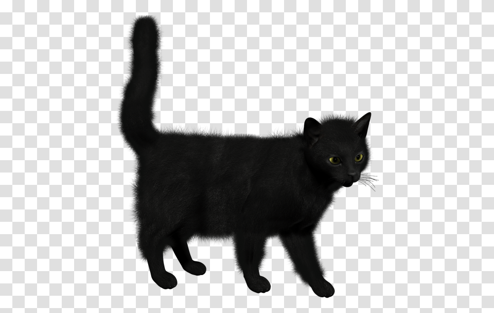 Black Cat Clipart Black Cat, Pet, Mammal, Animal, Manx Transparent Png