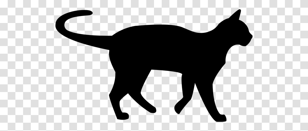 Black Cat Clipart Mystery, Gray, World Of Warcraft Transparent Png