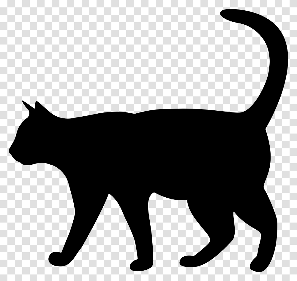 Black Cat Clipart, Nature, Outdoors, Astronomy, Outer Space Transparent Png