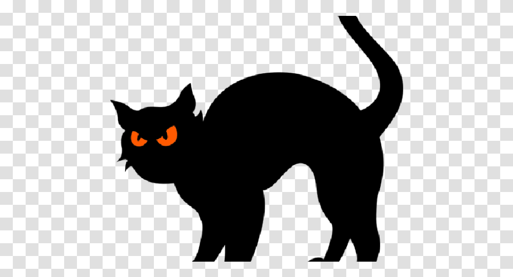 Black Cat Clipart Silhouette Halloween Cat Clipart, Batman Logo Transparent Png