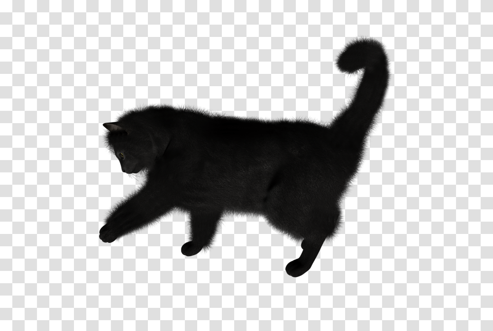 Black Cat Cliprt, Mammal, Animal, Dog, Pet Transparent Png
