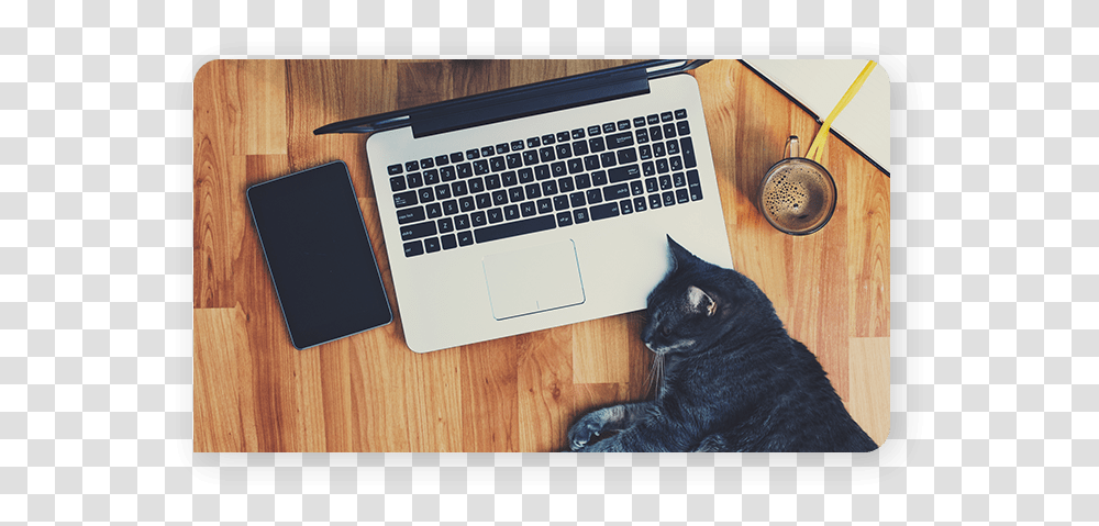 Black Cat, Computer Keyboard, Computer Hardware, Electronics, Laptop Transparent Png