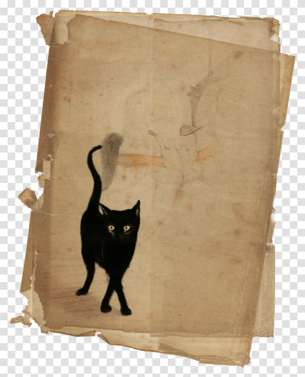 Black Cat Download Diary Transparent Png